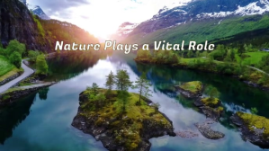 Nature Video Template
