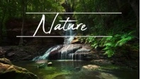 Naturee Digital Display (16:9) template