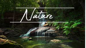 Naturee Affichage numérique (16:9) template