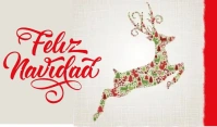 NAVIDAD Etykietka doczepna template