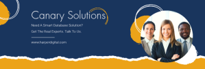Navy blue and yellow consulting linkedin bann template