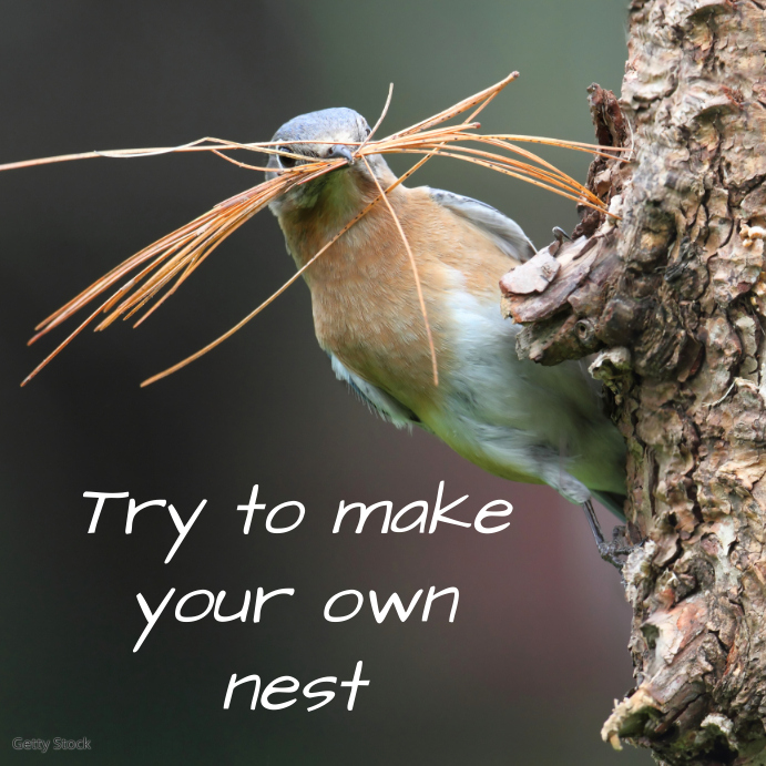 Nest Instagram Post template