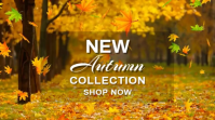 New Autumn Collection Video Template Digital Display (16:9)