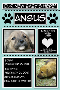 Customize 650 Pets Templates Postermywall