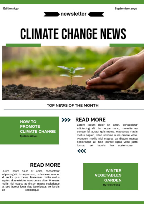 Newspaper Flyer Example News Flyer Template | PosterMyWall