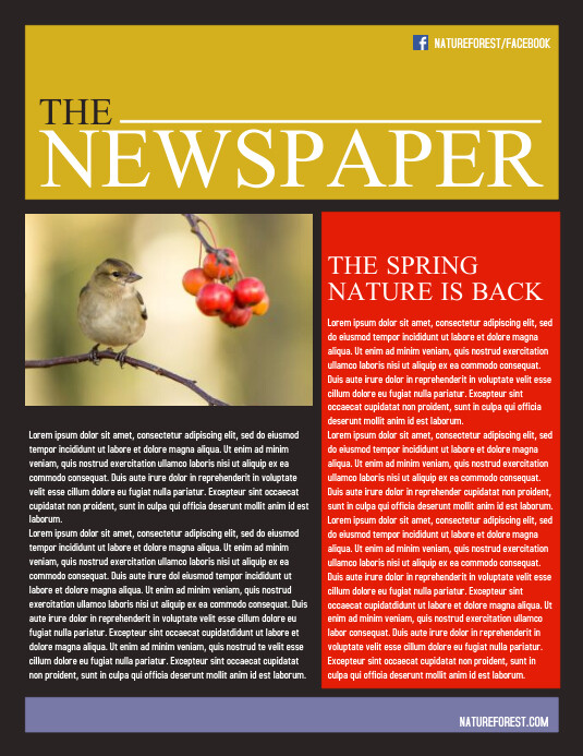 Newspaper Flyer Example Newspaper Template | PosterMyWall