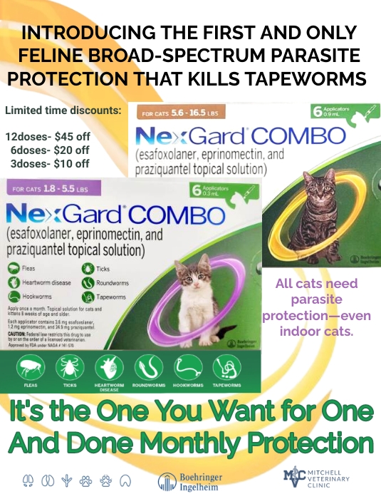 Nexgardcombo Template PosterMyWall