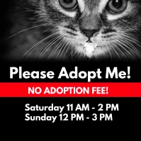 CAT ADOPTION FLYER Ilogo template