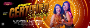 Zwart Night Club Party Twitch Pannel Twitch Panel Template