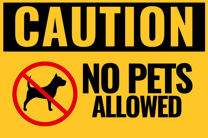 NO PETS ALLOWED caution Flag template