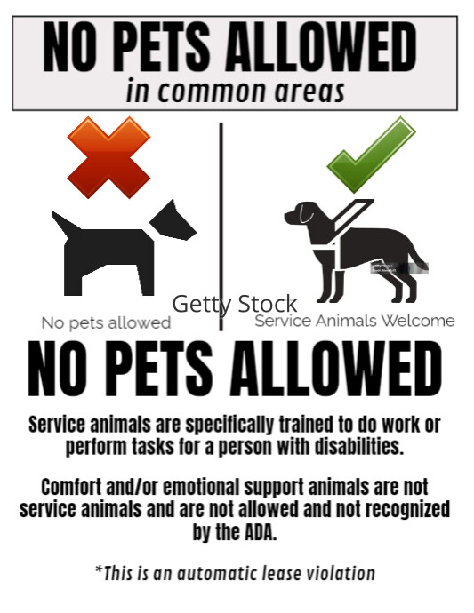Copy of No pets allowed no dogs allowed sign poster f | PosterMyWall