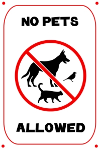 NO PETS ALLOWED SIGNS Template | PosterMyWall NO PETS ALLOWED SIGNS Template | PosterMyWall