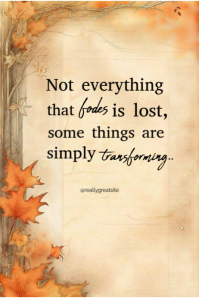 Not Everything Poster template