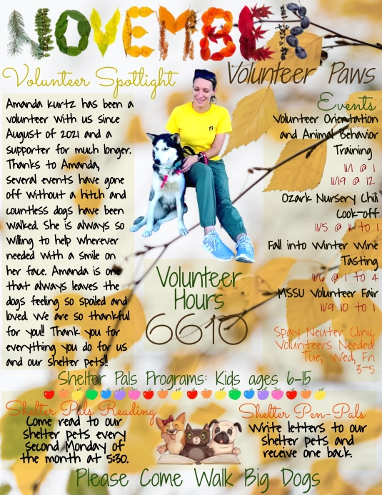 November Volunteer Newsletter Magazine Template | PosterMyWall