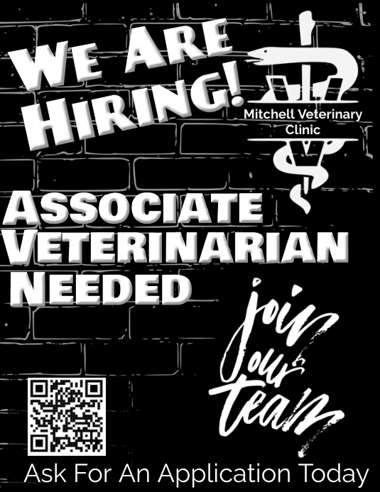 NOW HIRING Flyer (Letter pang-US) template