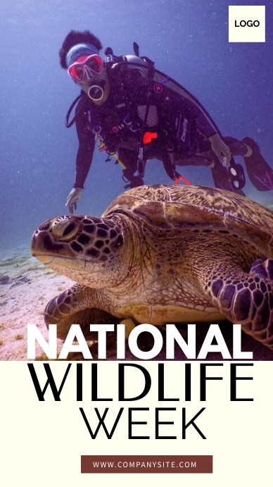 nww 9 Digital Display (9:16) template