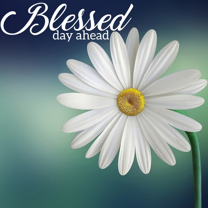 online greeting card Template PosterMyWall