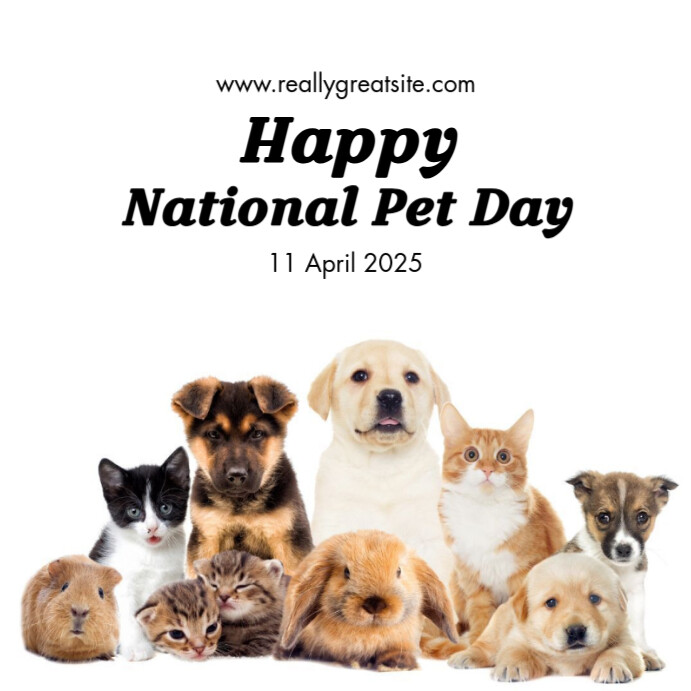 Orange and White National Pet Day Social Media Graphic Publicação no Instagram template