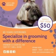 Orange dog grooming services Instagram video Cuadrado (1:1) template