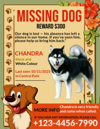 Orange Floral Missing Pet Flyer (us Letter) template