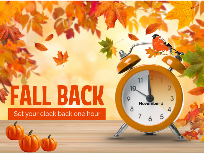 Orange Illustrative Daylight Saving Time Reminder Yard Sign Template ...