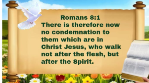 Orange Joyful Daily God's Word  Youtube Thumbnail YouTube-thumbnail template