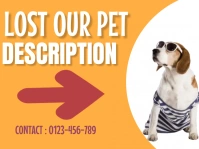 Orange Joyful Lost Our Pet  Yard Sign template