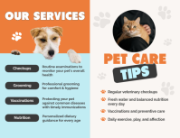 Orange Pet Care Iflaya Template - Page 2