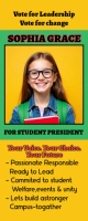 Orange Modern & Minimal Class President Campaign Roll Up Banner 2' × 5' template