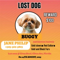 Orange Modern & Minimal Lost Pet Template Logotipo