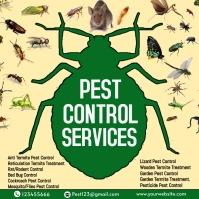 Orange Professional Pest Control Service Inst Instagram Post template