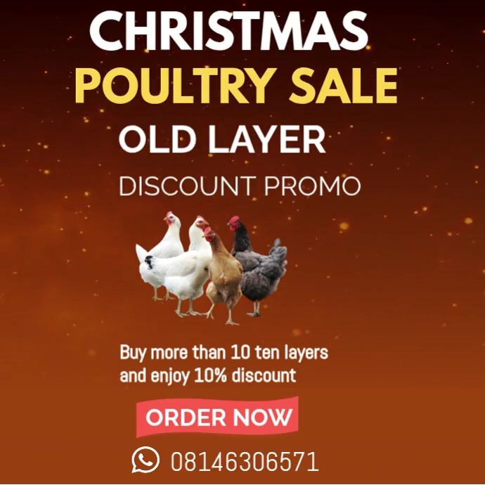 Plantilla de Orange Professional Poultry Farm Chicken Promo Video Old ...