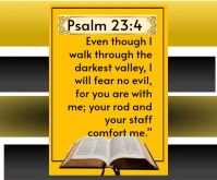 Orange Typographic Bible Verse Psalms 23:4 Medium Rectangle Middelgrote rechthoek template