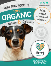 Organic Dog Food Flyer template