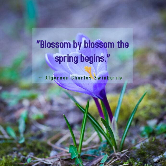 Our Favorite Spring Quotes Template | PosterMyWall