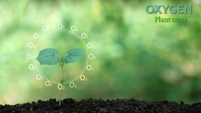 O2 Head Wall Tree Oxygen in Plant trees Template | PosterMyWall