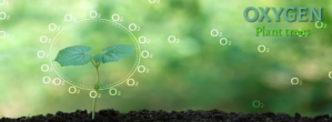 Oxygen in Plant trees Facebook-coverfoto template