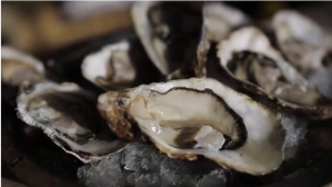 oyster Digitalt display (16:9) template