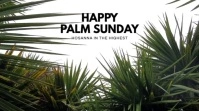 palm sunday Digital Display (16:9) template