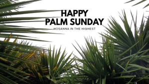 White Palm Sunday Celebration Digitalt display Template