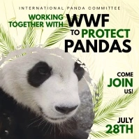 Panda Protection Conference Instagram Post Template