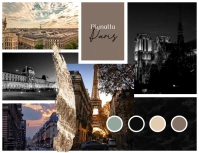Paris Minimal Moodboard Mood Board Flyer (US Letter) template