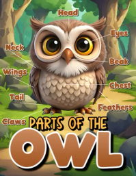 Owl Body Parts Flyer (US Letter) template