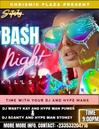 PARTY POSTER TEMPLATES Flyer (US Letter)