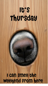 Pastel Funny Thursday Dog Meme Poster – "i Can Smell The Weekend" Quote For Social Media & Decor Dig Pantalla Digital (9:16) template