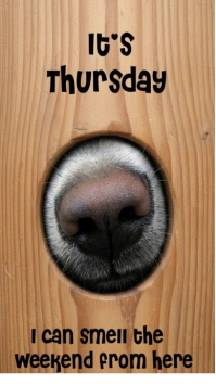 Pastel Funny Thursday Dog Meme Poster – "i Can Smell The Weekend" Quote For Social Media & Decor Dig Digital na Display (9:16) template