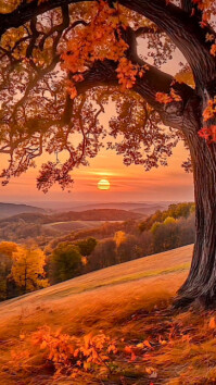 Pastel Golden Sunrise Serenity Tree Background. Autumn Fall Scenery  Digital Display (9:16) template