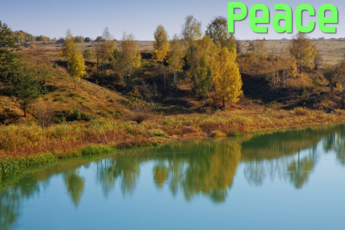 Peace Template PosterMyWall