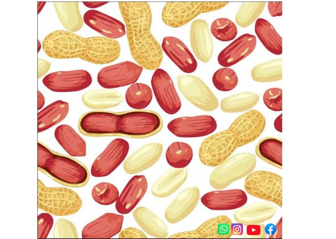 PEANUT SEED Postcard template