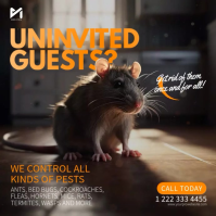 Pest Control Services Square Video Template Instagram Post